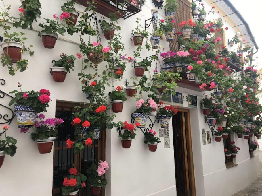 Apartamento El Templo Córdoba Buitenkant foto
